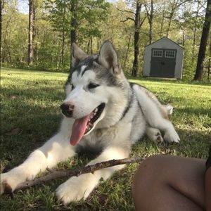 Meet your Posher, Andrea